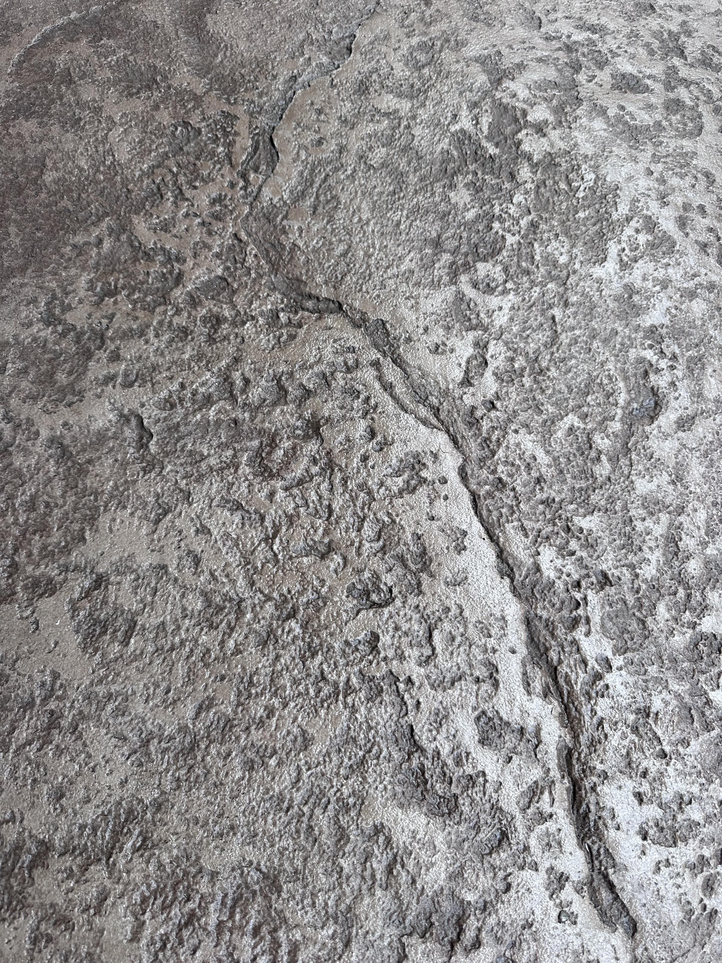 Stamped Concrete, Decorative Stamped Concrete, General Concrete image