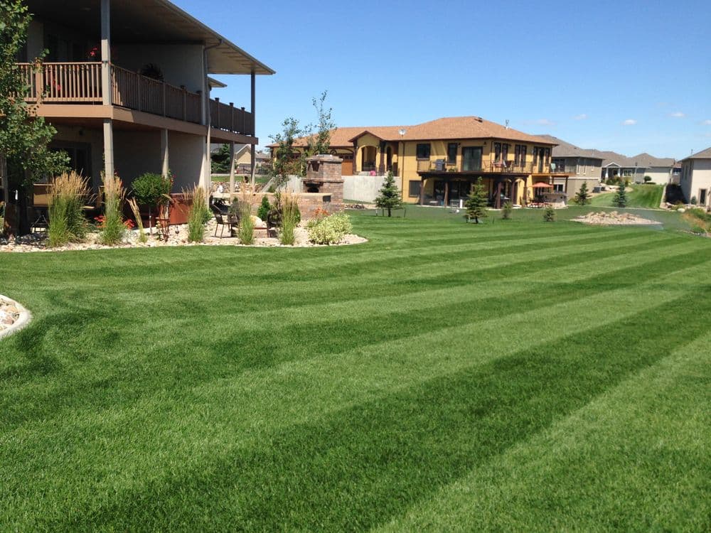 Lawn Fertilization & Weed Control image